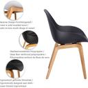 Abbildung chair Roya