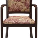 Abbildung Armchair Mily Vorderansicht