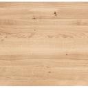 Abbildung Tafelblad Ercus Schrägansicht