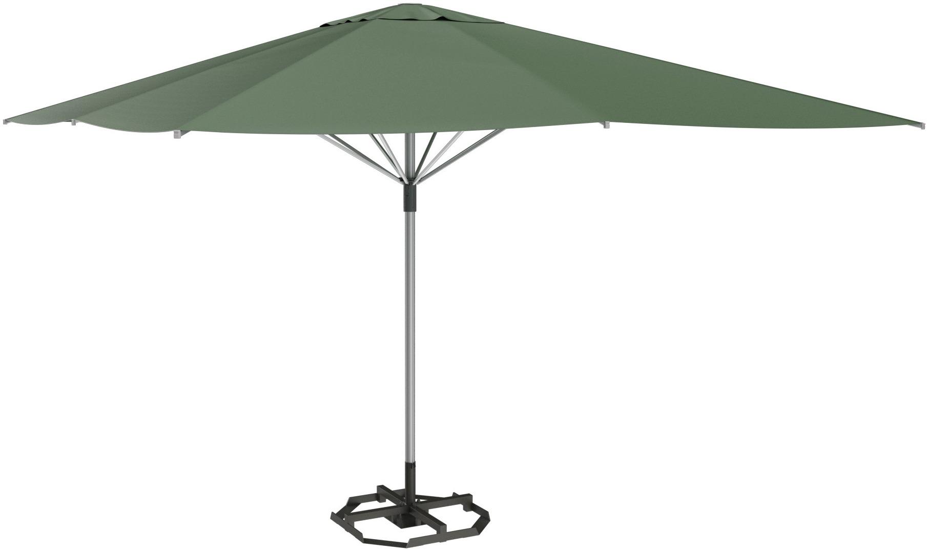 umbrella Nerida