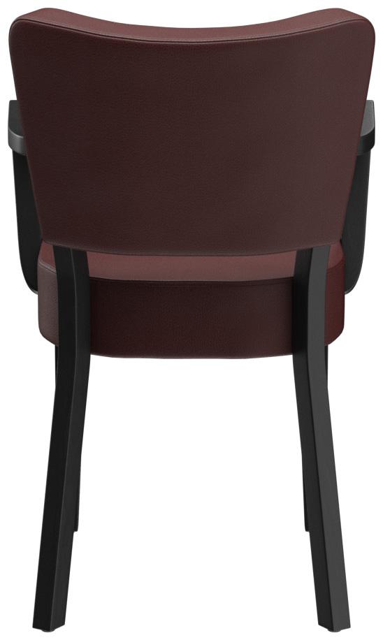 Abbildung Armstoel Damara Rückansicht