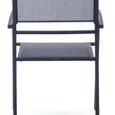 Abbildung arm chair Toni Rückansicht