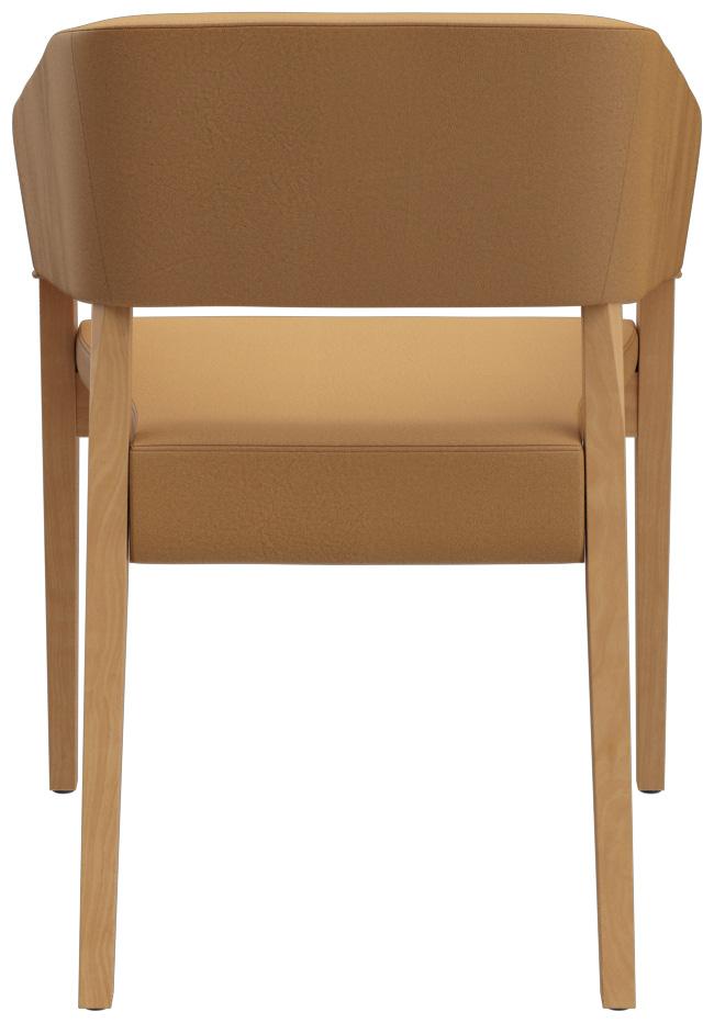 Abbildung Armstoel Pika Rückansicht