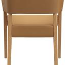 Abbildung Armstoel Pika Rückansicht