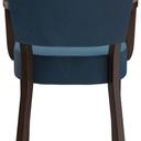 Abbildung Armstoel Damara Rückansicht