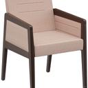 Abbildung Armstoel Paddy Schrägansicht