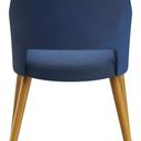 Abbildung Armstoel Liska Rückansicht