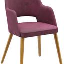 Abbildung Armstoel Liska Schrägansicht