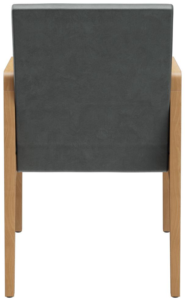 Abbildung Armstoel Paddy Rückansicht