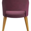 Abbildung Armstoel Liska Rückansicht