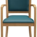 Abbildung Armstoel Mily Vorderansicht