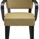 Abbildung Armstoel Damara Vorderansicht