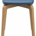 Abbildung Kruk Daya Vorderansicht