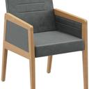 Abbildung Armstoel Paddy Schrägansicht