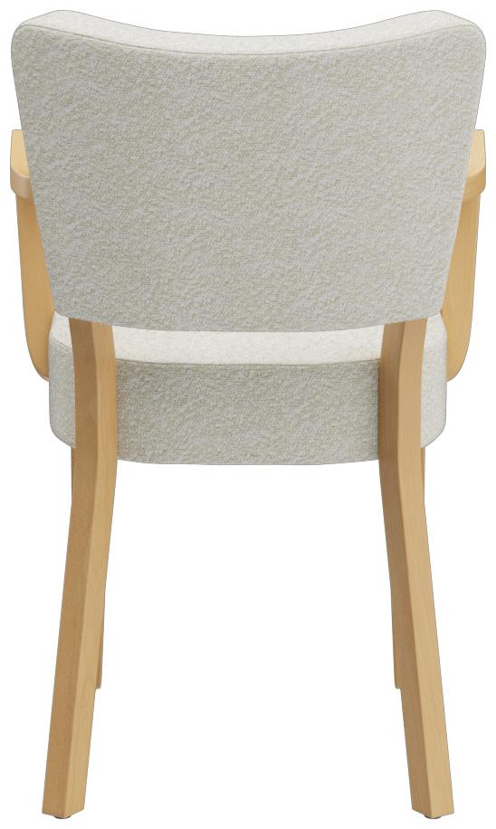 Abbildung Armstoel Damara Rückansicht