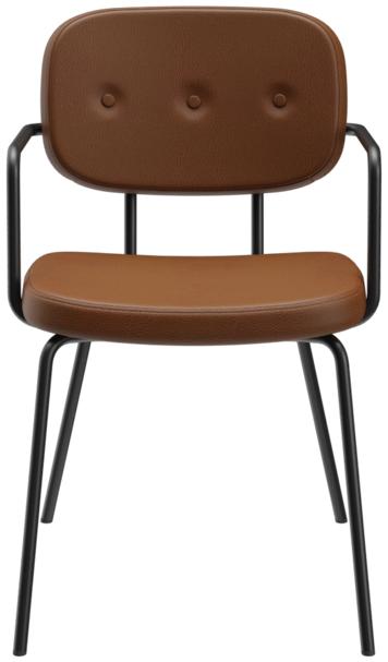 Abbildung Armlehnstuhl Vayo Vorderansicht