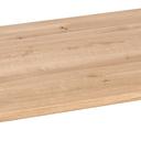 Abbildung Tafelblad Ercus Schrägansicht