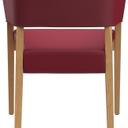 Abbildung Armstoel Pika Rückansicht