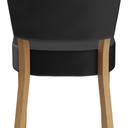 Abbildung stoel Damara Rückansicht