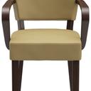 Abbildung arm chair Damara Vorderansicht