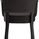 Abbildung Armstoel Damara Rückansicht