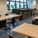 Abbildung chair Paula Ambiente