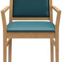 Abbildung Fauteuil Liah Vorderansicht