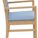 Abbildung Armchair Liah Seitenansicht