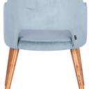 Abbildung Armstoel Liska Rückansicht