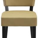 Abbildung stoel Damara Vorderansicht