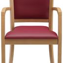 Abbildung Armstoel Mily Vorderansicht