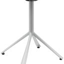 Abbildung Esstisch Kari Schrägansicht