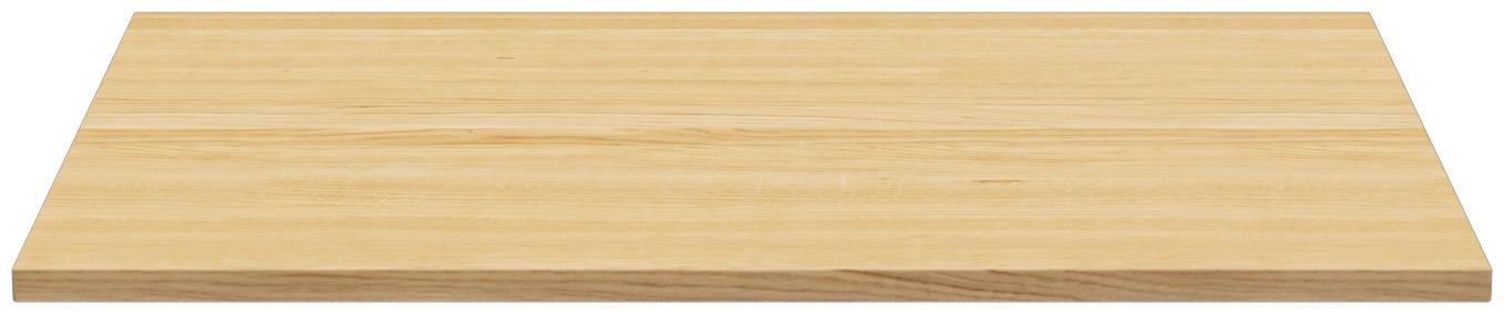 Abbildung Tafelblad Ercus Rückansicht