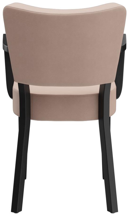 Abbildung Armstoel Damara Rückansicht