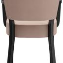 Abbildung Armstoel Damara Rückansicht