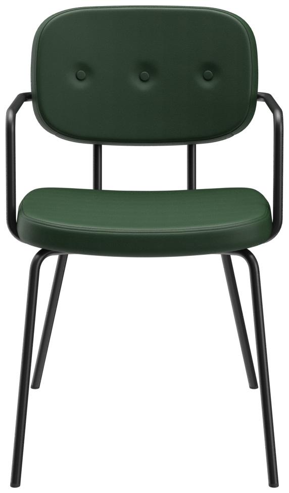 Abbildung Chaise à accoudoirs Vayo Vorderansicht