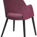 Abbildung Armstoel Liska Schrägansicht