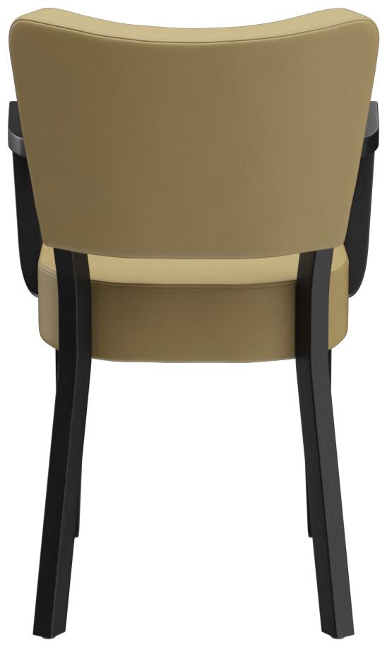 Abbildung Armstoel Damara Rückansicht
