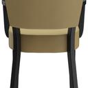 Abbildung Armstoel Damara Rückansicht