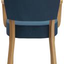 Abbildung Armstoel Damara Rückansicht