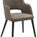 Abbildung Armstoel Liska Schrägansicht