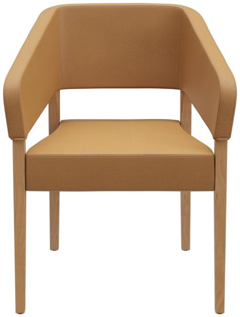 Abbildung Armchair Pika Vorderansicht