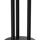 Abbildung Mange-debout Kapoda Seitenansicht