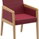 Abbildung Armstoel Paddy Schrägansicht