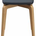 Abbildung Kruk Daya Rückansicht