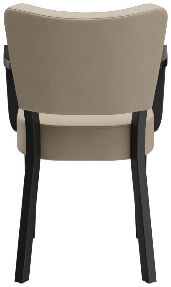 Abbildung Armstoel Damara Rückansicht