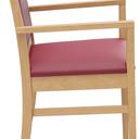 Abbildung Fauteuil Liah Seitenansicht