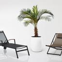 Abbildung Liege Terry Ambiente