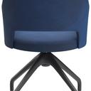 Abbildung Armstoel Liska Rückansicht