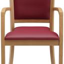 Abbildung Armchair Mily Vorderansicht